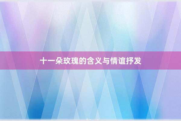 十一朵玫瑰的含义与情谊抒发