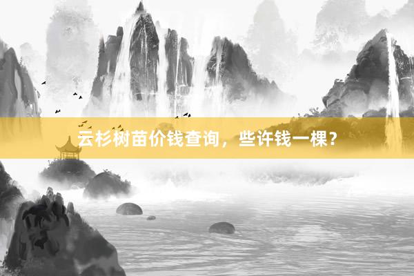 云杉树苗价钱查询，些许钱一棵？