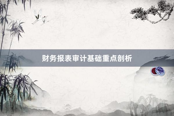 财务报表审计基础重点剖析